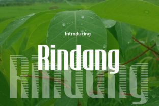 Rindang: A Fresh Display Font for Modern Web Design