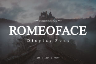 Romeoface: A Typeface for Editorial Distinction