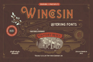 Why Wincosin is My Secret Weapon for Campaign Headlines